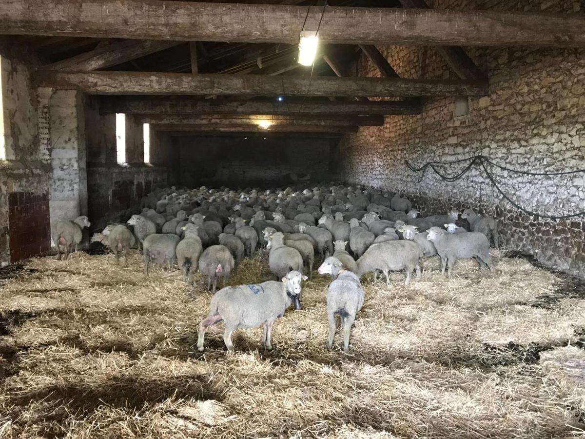 Villa Studio A La Ferme à Arles Extérieur photo